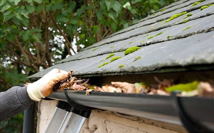 Gutter cleaning service